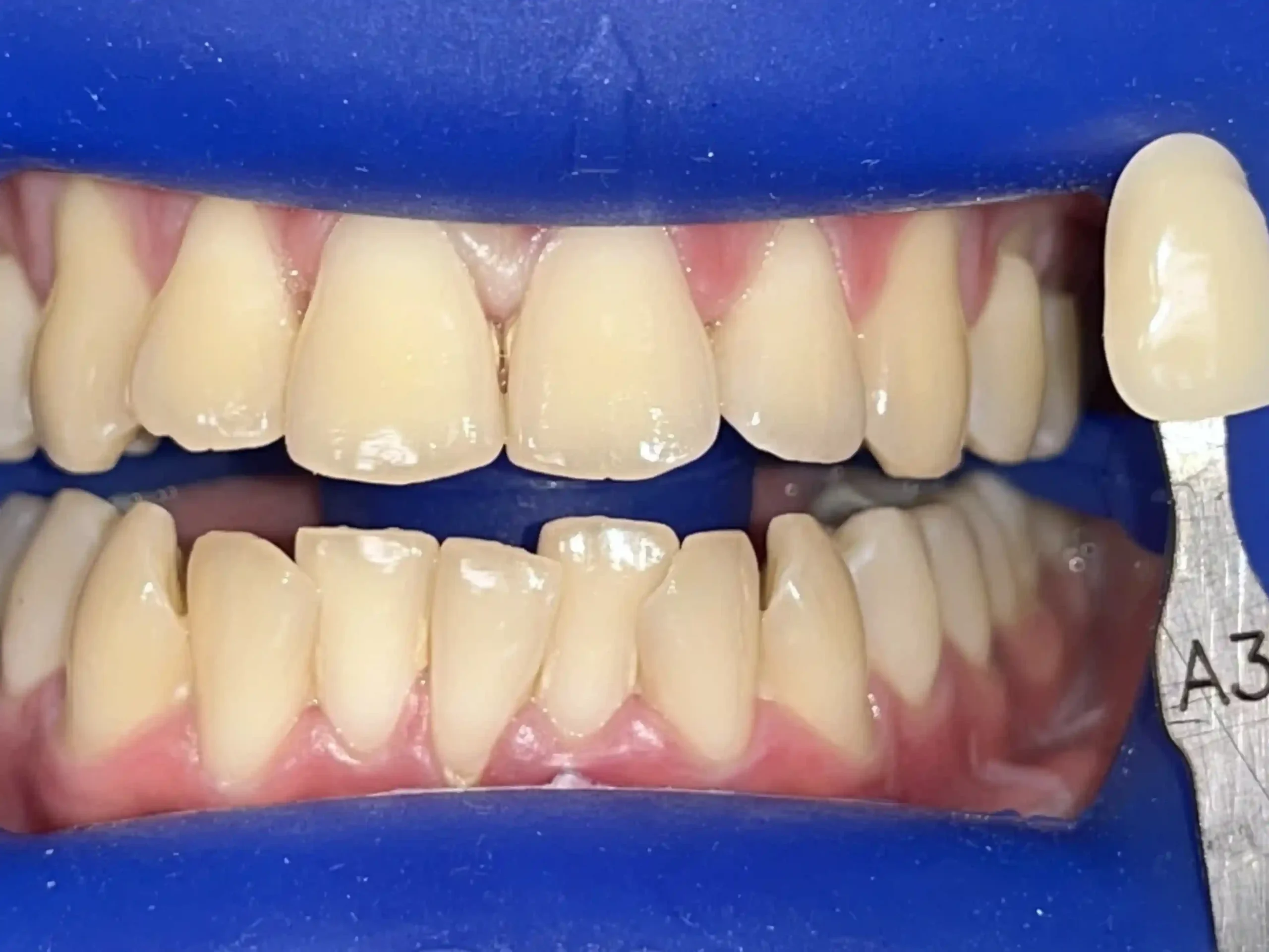 IMG_7553_cropped_11zon